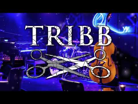 TRIBB - Beat Drops