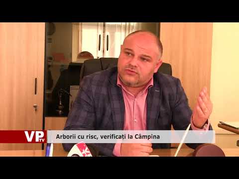 Arborii cu risc, verificați la Câmpina