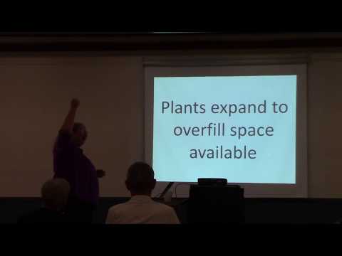 "Five Reasons I Hate Orchids"