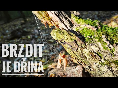 Vlog 52 • Z kopce to bolí