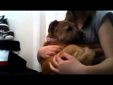 my edited video my elisha but it kinda went a bit wrong and didnt get to finish it :L