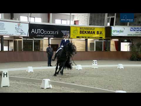 Zadelexamen Centraal Onderzoek – 16 oktober