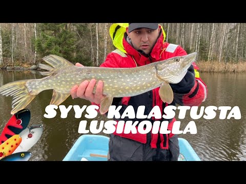SYYSHAUEN KALASTUSTA LUSIKOILLA