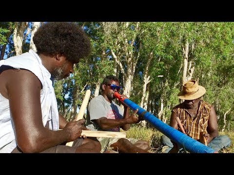Gurumburra - Silver Gull/Seagull - Nunggarrgalu Songs