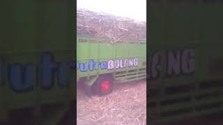 preview picture of video 'Medan extrime untuk uji nyali sopir truck tebu'