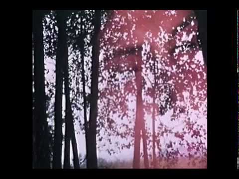 «1964. Filmavo da indipendente solo e contro tutti».