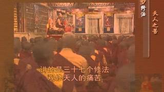 前行实修法（动画版 1-92修法） >> 第37修法：天人之苦