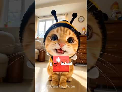 وضع كاميرا على صرصور وهذا ما حدث ‼️😱