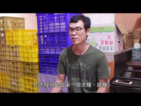 天然的尚好 喝牛奶長大的活力芽菜