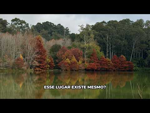 PARQUE WITECK: UM LUGAR QUE VOCÊ PRECISA CONHECER NO RS
