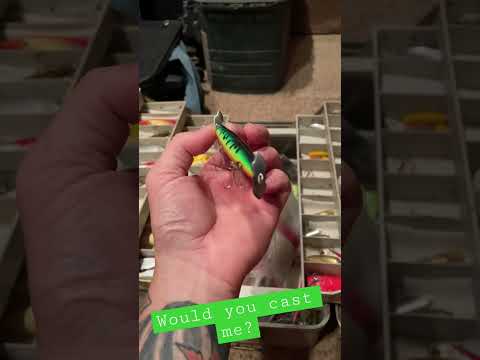 Catch Anything Jerk Bait Spinner Lure