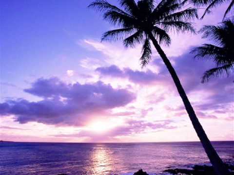 Mahina Hopo Hulungia Ai - Reggae Remix.