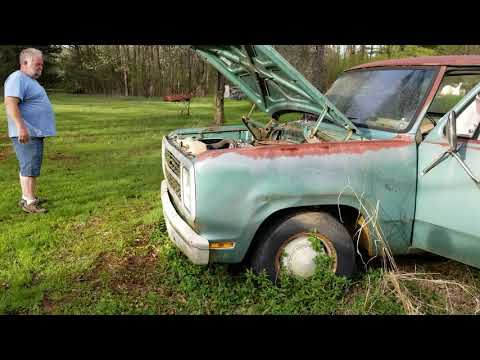 We found a Dodge d100 step side