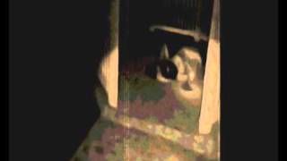 Ray Childish - The Corpse Bride