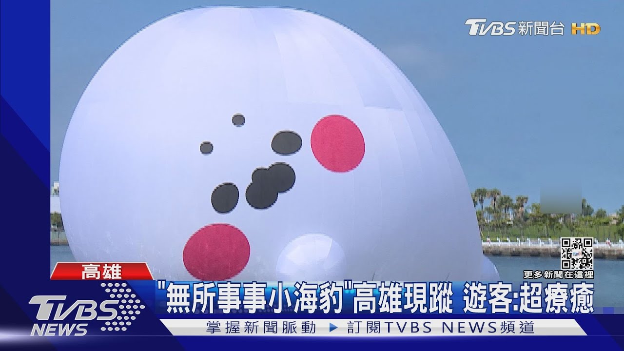 「無所事事小海豹」現蹤高流館港灣 遊客嗨喊超療癒