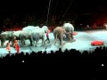 Circus Ringling Bros