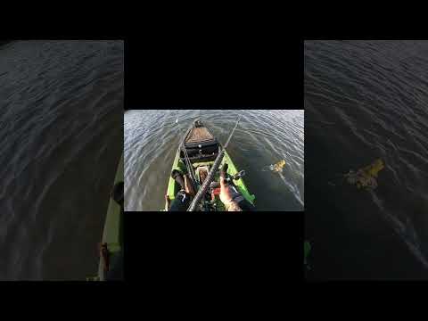 OLHA ELE 😱🐟 Pescaria de Caiaque em Caçu - GO"