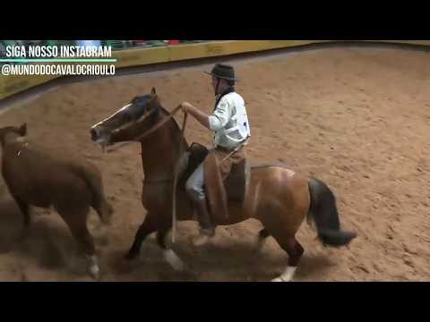 Freio de Prata 2016 Guapuruma Mate Amargo - Prova de Mangueira e Paleteada