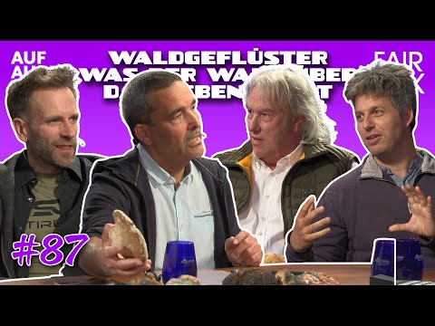 WALDGEFLÜSTER – WAS DER WALD ÜBER DAS LEBEN LEHRT