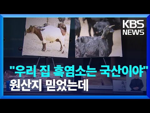 , title : '“외국산 염소를 국산으로?”…원산지 속여 수억 챙긴 업체 적발 / KBS  2022.12.08.'