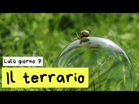 La chiocciola allevata 🐌 Il terrario di Lulù 7