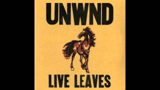 Unwound - Lifetime (Live)