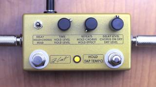 Video thumbnail for ZCAT Hold-Delay-Chorus - Now with selectable latching or momentary modes by ZCAT Pedals