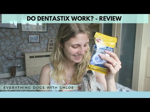 DENTAL CHEWS FOR DOGS - DO DENTASTIX WORK?