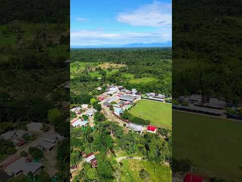 Vereda el Cairo Valle del Guamuez Putumayo #dalelike #comparte