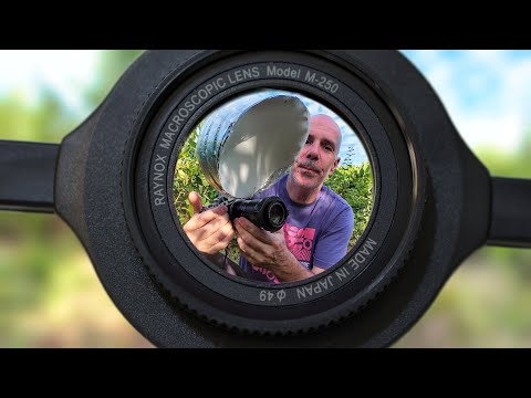 RAYNOX DCR 250 (M250), my little review after one month. Tried on a telephoto and a macro lens.