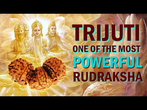 Misfortune & Accidents will Stay Away from you Wear Trijuti Rudrakshha.