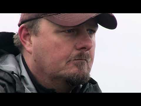 Geheimnisse der Meerforellen