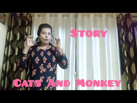 Story -Cats and the monkey