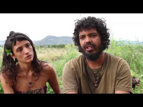 SARAVAMOS - Instituto Biorregional do Cerrado_IBC