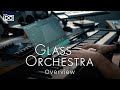 Video 2: Overview
