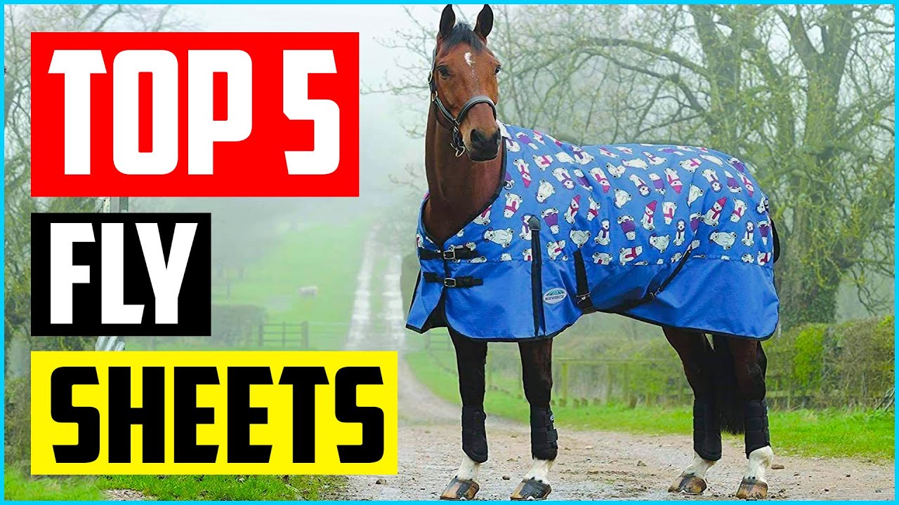 Top 5 Best Fly Sheets for Horses in 2022 Reviews