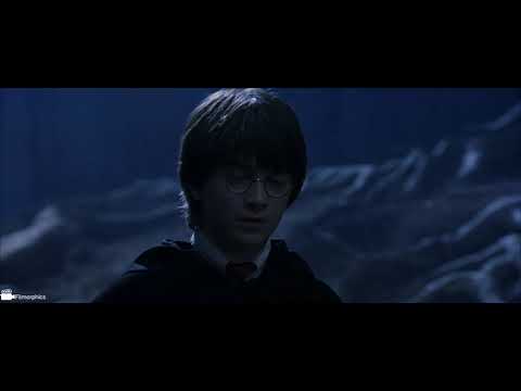 The Forbidden Forest (Part 2) | Harry Potter and the Sorcerer's Stone