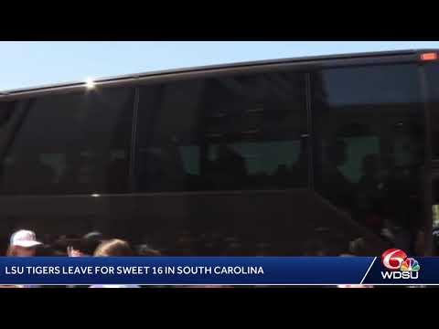 LSU Tigers on the way to South Carolina for Sweet 16