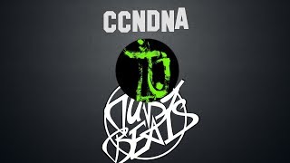 Bushido - CCNDNA feat. Fler Instrumental 🈯BLACK FRIDAY🈯