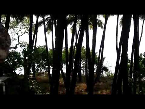 Sounkal  sea   beach🤴🏻