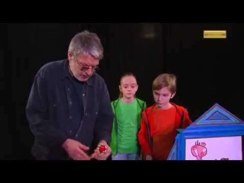 Firbcologi: kamišibaj