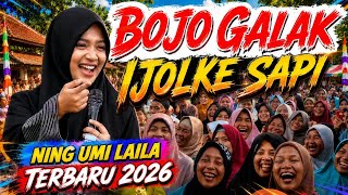 Download lagu Ning Umi Laila Latest 2026 - Bojo GaLak Ijolke Cow Funny Poll || Welcoming Eid al-Adha mp3