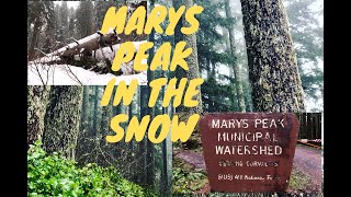 Marys Peak East Ridge Trail