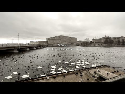 Mattias Lindblom — Perfecto