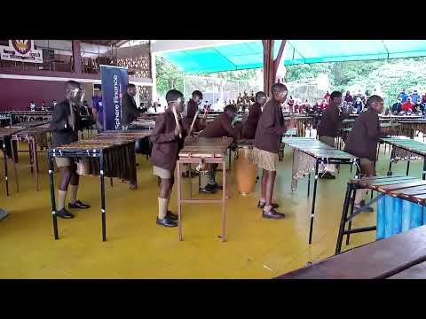 Guva Rangu -Marimba Band 1 Wise Owl Primary (Allied Arts Nic Manomano Challenge Cup Winner 2022)