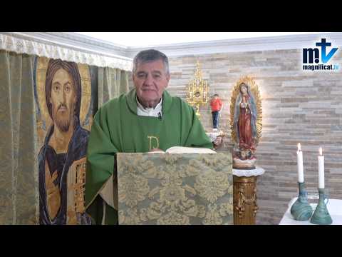 "Sé Humilde y Reconoce Que no Eres Dios" | Homilía, Sábado XXX Semana del T.O (31-10-2026) | P. Santiago Martín, FM