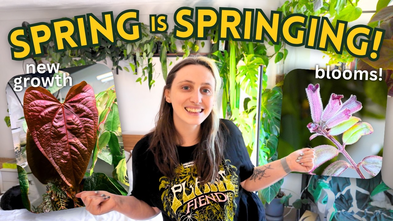 My Plants Are THRIVING 🌿 Spring Collection Update