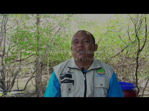 IUPHKm - KTH Seberang Bersatu sebagai salah satu pelindung Ekosistem Laut di Kabupaten Belitung