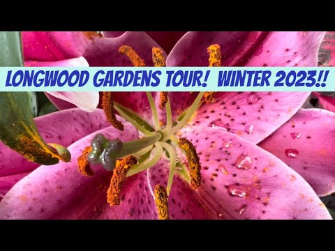 Longwood Gardens Conservatory Tour! Winter 2023!
