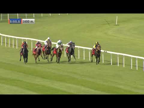 26.05.2019 (D9; G4; tor: 3,0; 20°C)